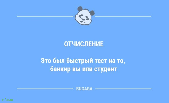 Анекдоты в середине недели: «При правильном подборе литературы…» 