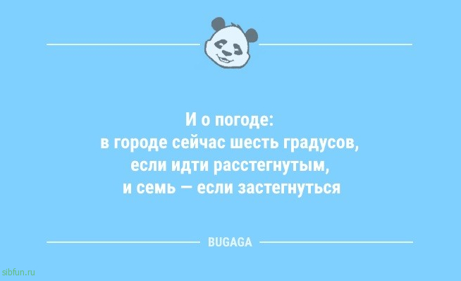 Анекдоты в середине недели: «Любой опытный лесник…» 