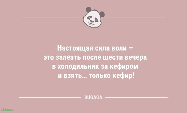 Пятничные новогодние анекдоты: «А я ни о чём Деда Мороза не просил…» 