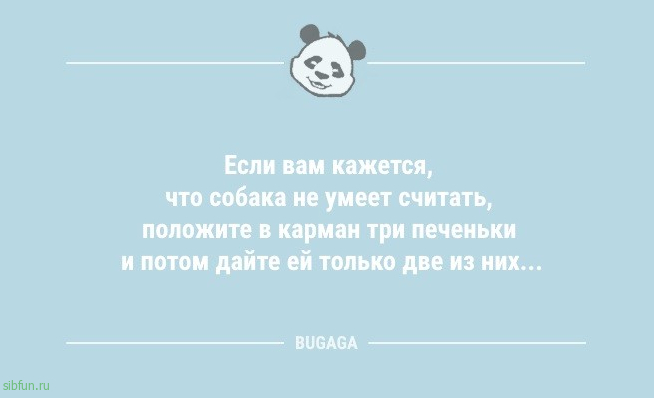 Анекдоты дня: «Утреннюю зарядку должен делать тот…» 