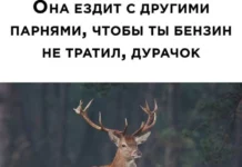 Нестандартный юмор #250