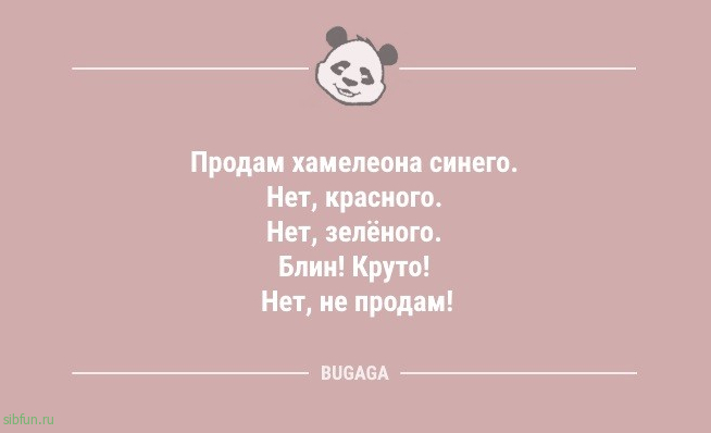 Анекдоты дня: «Мужчины редко понимают женщин…» 