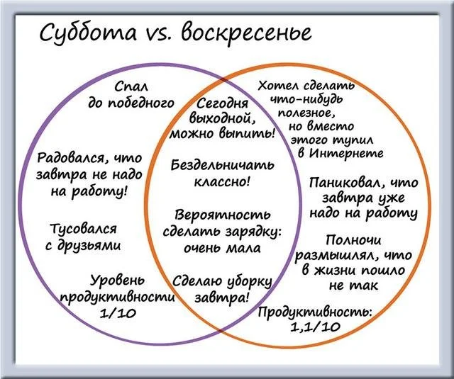 Юмор в графиках: забавные работы художника Мэтта Ширли