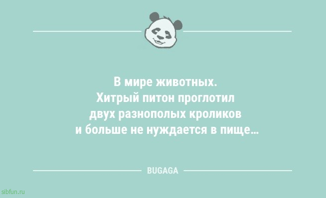 Анекдоты для пятничного настроения: «Женщины — удивительные существа…» 