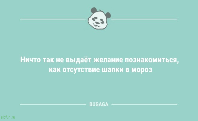 Анекдоты для настроения: «А с какого момента Новый год перестаёт быть новым?» 