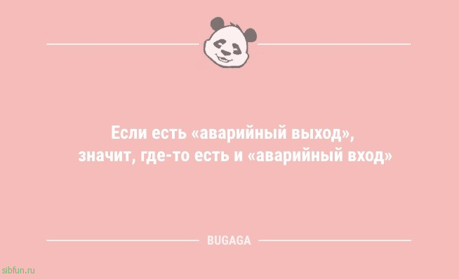 Анекдоты в середине недели: «Одни думают, что Земля круглая…» 