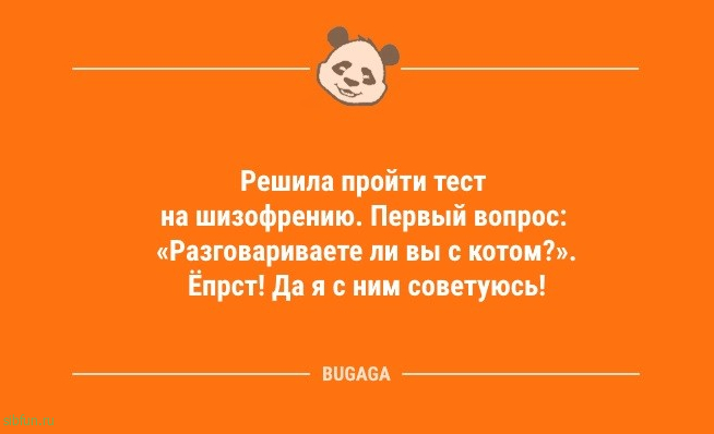 Предпятничные анекдоты: «Погода так и просит остаться дома…» 