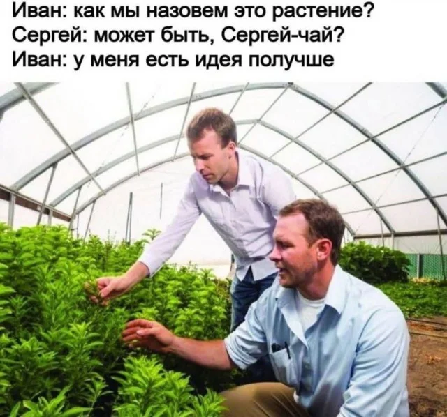 Нетипичный юмор