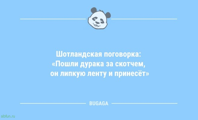 Анекдоты нового года: «Какие планы на новогодние праздники?» 