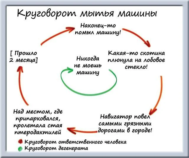 Юмор в графиках: забавные работы художника Мэтта Ширли