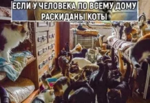 Разные картинки