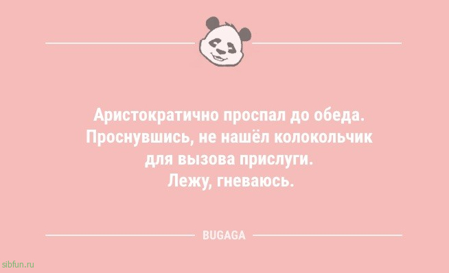 Анекдоты в середине недели: «Одни думают, что Земля круглая…» 