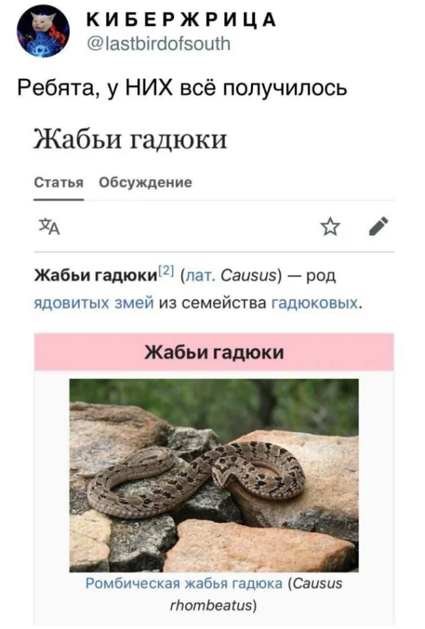 Нетипичный юмор