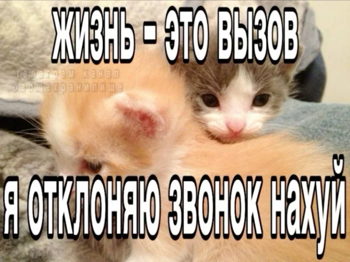 Нестандартный юмор #227