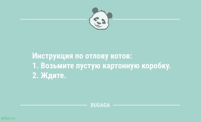 Анекдоты для пятничного настроения: «Женщины — удивительные существа…» 