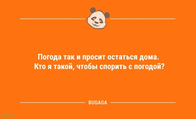 Предпятничные анекдоты: «Погода так и просит остаться дома…» 