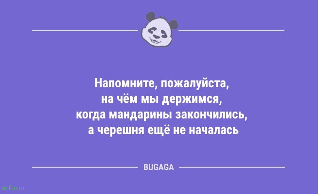 Анекдоты для пятничного настроения: «На лыжах не люблю ходить…» 