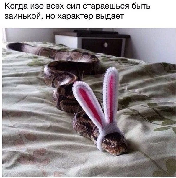 Боянчики