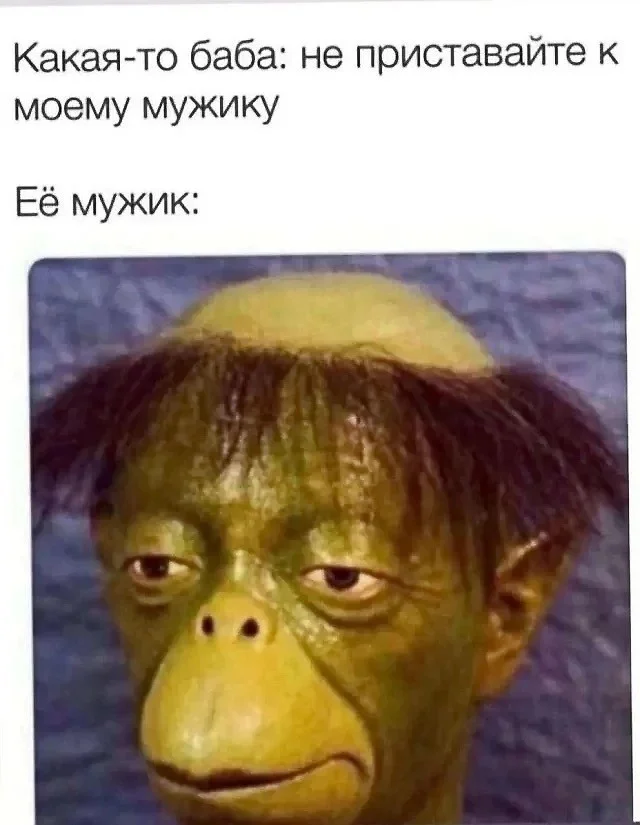 Шоты от скриншота