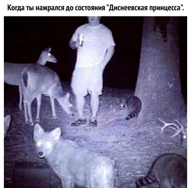 Прикольный свежачок