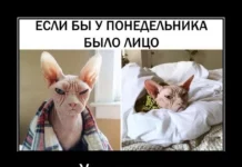 Демотиваторов пост