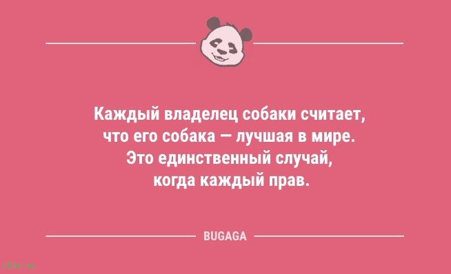 Короткие анекдоты в середине недели: «Как известно, самая благоприятная среда для человека…» 