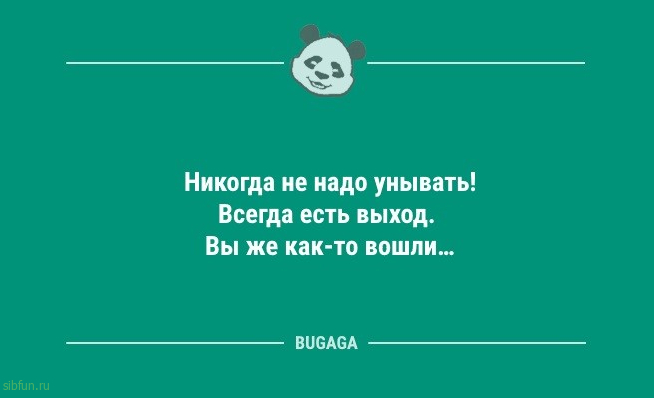 Анекдоты и статусы для настроения: «Домашние дела в выходные…» 