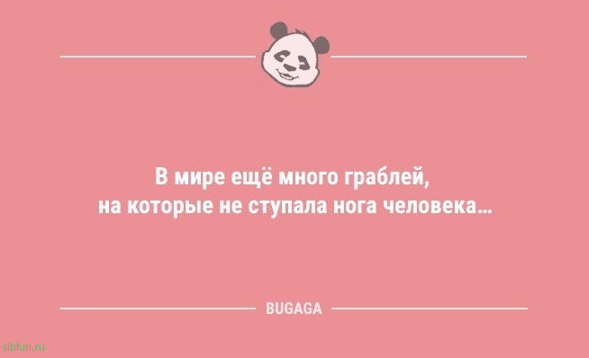 Анекдотов пост в середине недели: «Вчера соседка спросила…» 