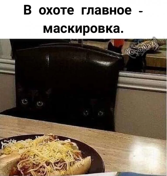 Юмор в ленту