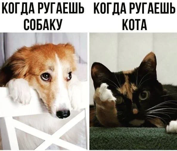 Приколы разные