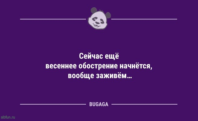 Анекдоты с шутками для настроения: «Сегодня в 6 утра я сделал открытие века!» 