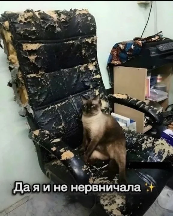 Приколы в ленту