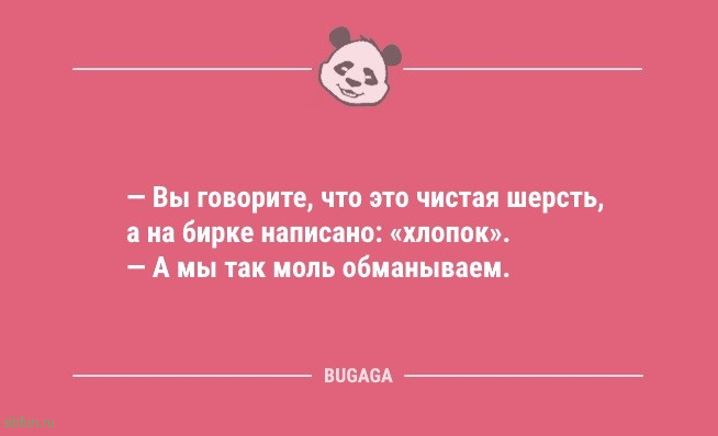 Короткие анекдоты в середине недели: «Как известно, самая благоприятная среда для человека…» 