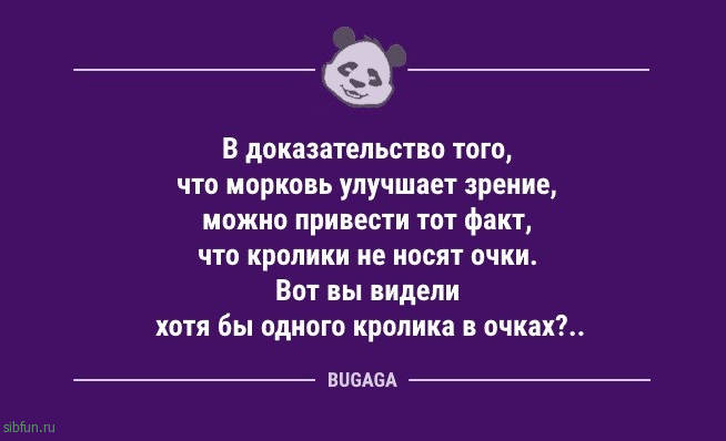 Анекдоты с шутками для настроения: «Сегодня в 6 утра я сделал открытие века!» 