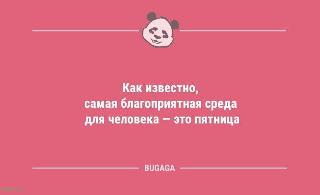 Короткие анекдоты в середине недели: «Как известно, самая благоприятная среда для человека…» 