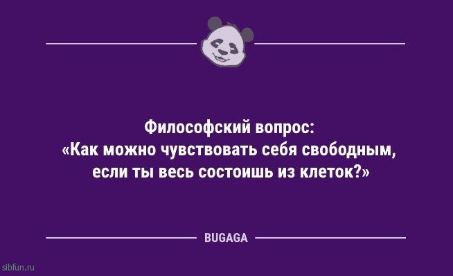 Анекдоты с шутками для настроения: «Сегодня в 6 утра я сделал открытие века!» 