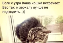 Подвезли свежие картинки