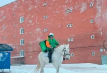 Прикольный свежачок