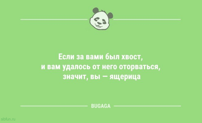 Свежий сборник анекдотов: «На собеседовании спросили знак Зодиака…» 