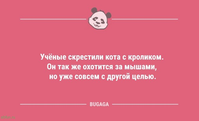 Короткие анекдоты в середине недели: «Как известно, самая благоприятная среда для человека…» 