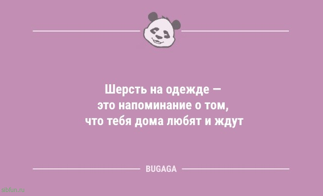 Анекдоты в конце недели: «Шерсть на одежде — это…» 