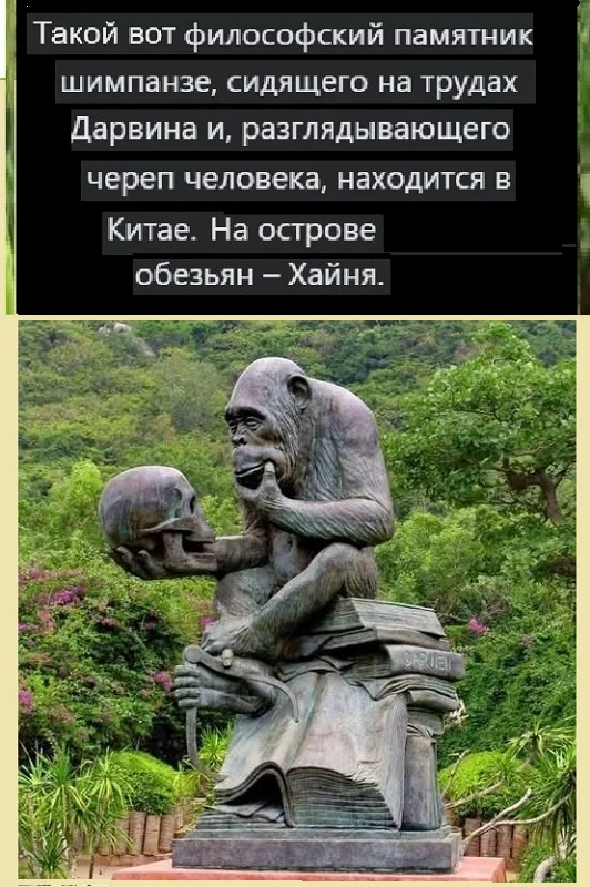 Приколы разные