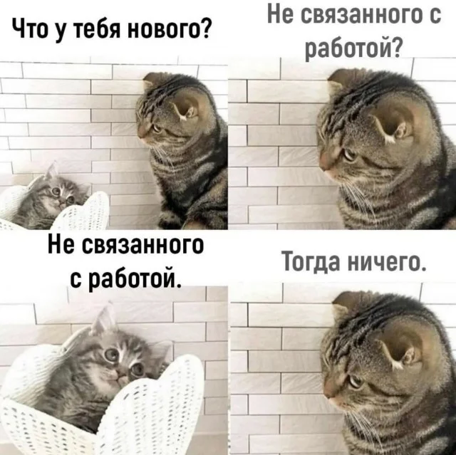 Шоты от скриншота