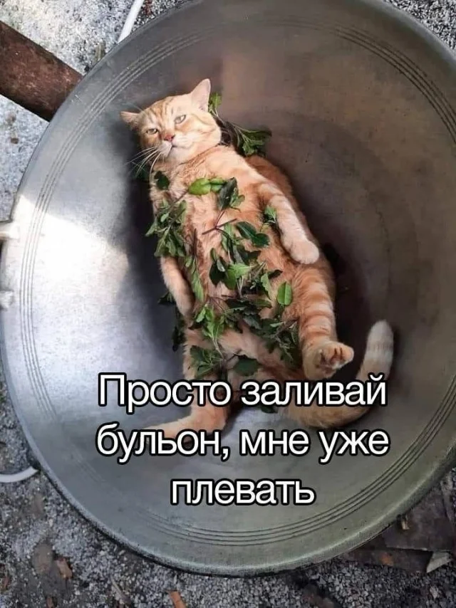 Прикольный свежачок