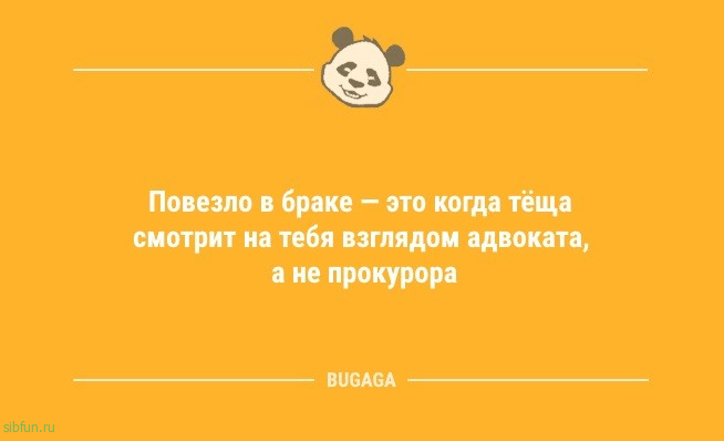 Свежие анекдоты для всех: «А вы в курсе, что в этом месяце…» 