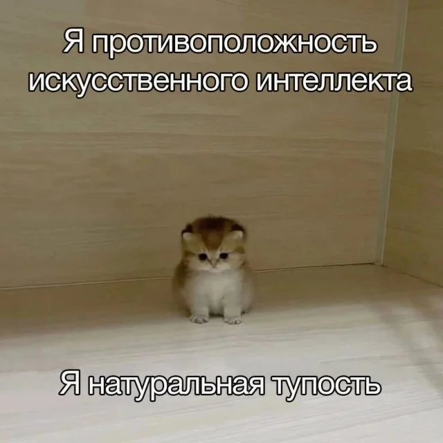 Свежие скрины из соцсетей