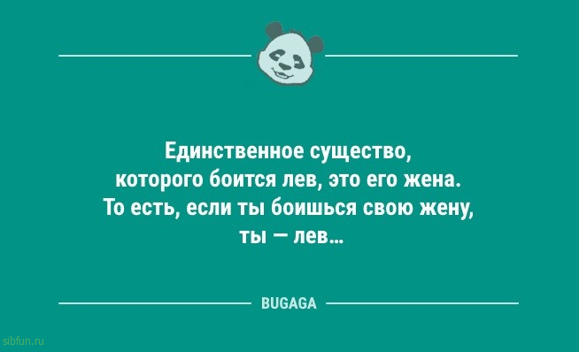 Анекдотов порция: «Алиса, скажи 300!» 