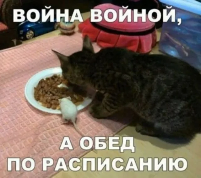 Прикольный свежачок