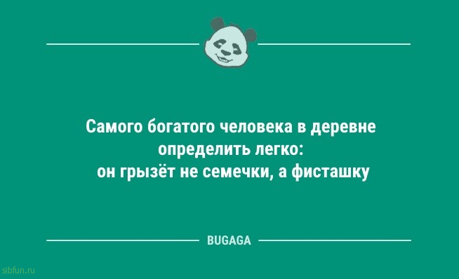 Анекдоты и статусы для настроения: «Домашние дела в выходные…» 