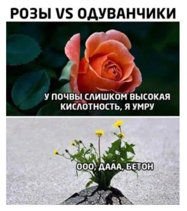 Клёвый юмор